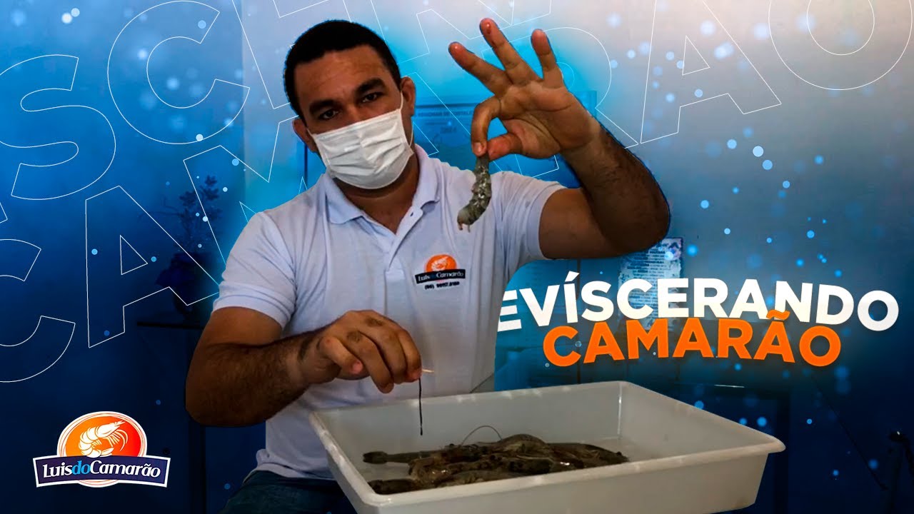 Como limpar camar&atilde;o r&aacute;pido e f&aacute;cil ~ Lu&iacute;s do Camar&atilde;o