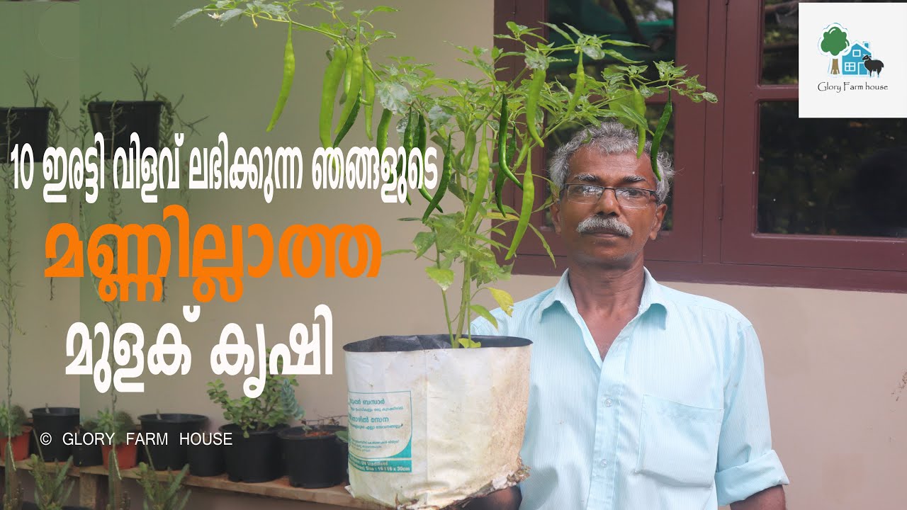 ഒരു തരി മണ്ണില്ലാതെയും നമുക്ക് പച്ചക്കറി കൃഷി ചെയ്യാം | Mannilla Krishi
