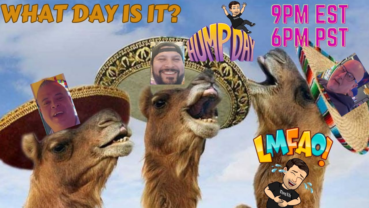 🐪HUMP DAY LIVE!😂 #livestream #casino #gambling #slots