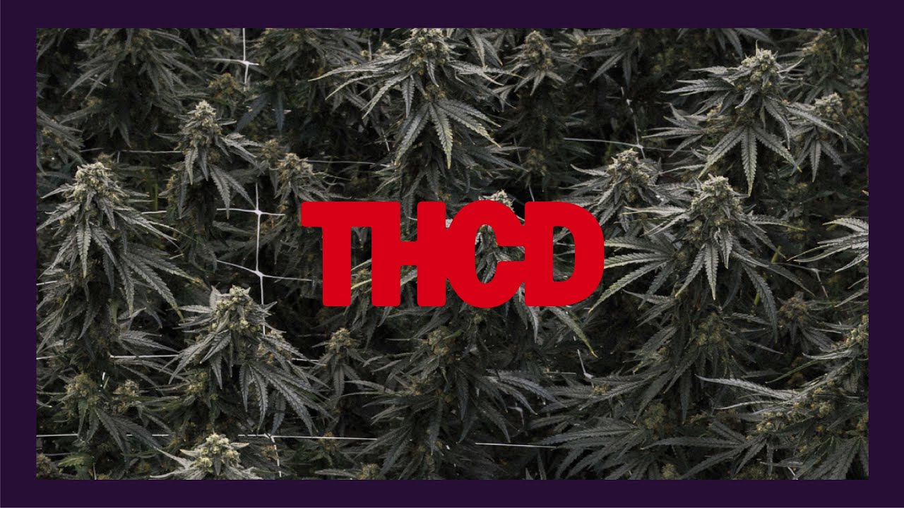 THC Design California