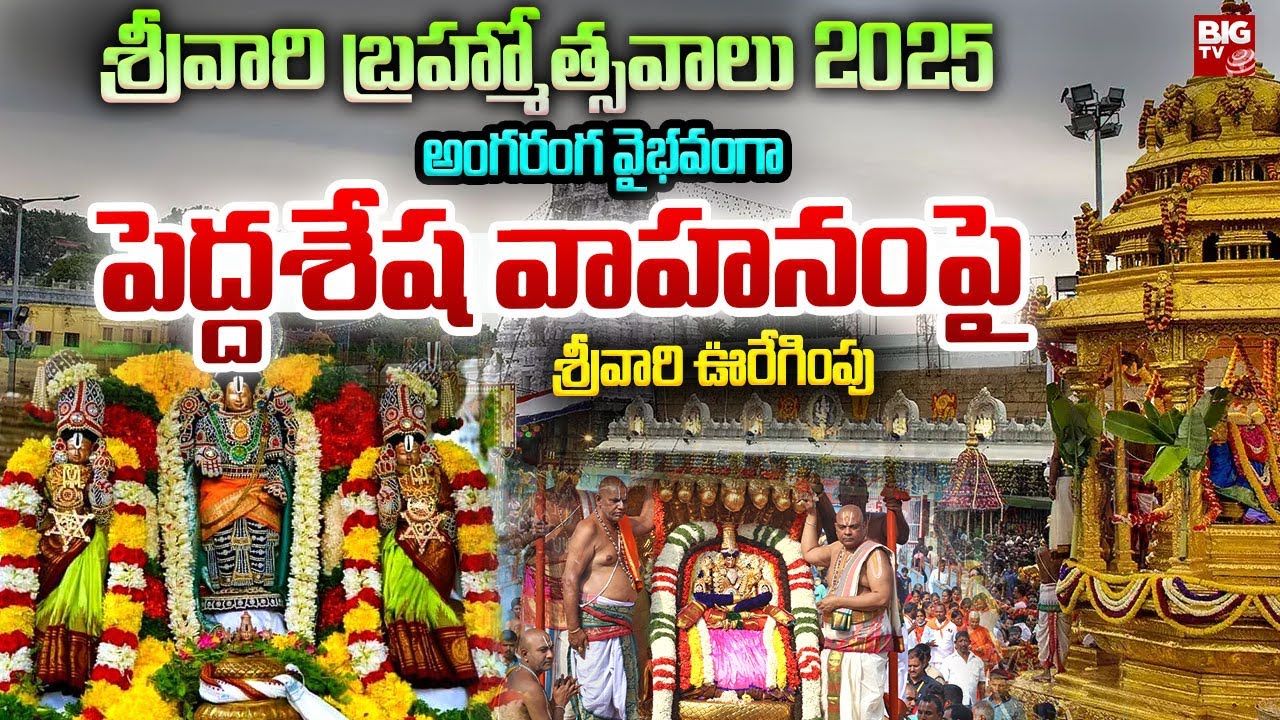 అంగరంగ వైభవంగా పెద్దశేష వాహనంపై శ్రీవారి ఊరేగింపు | Tirumala Srivari Brahmotsavam 2025 | BIG TV
