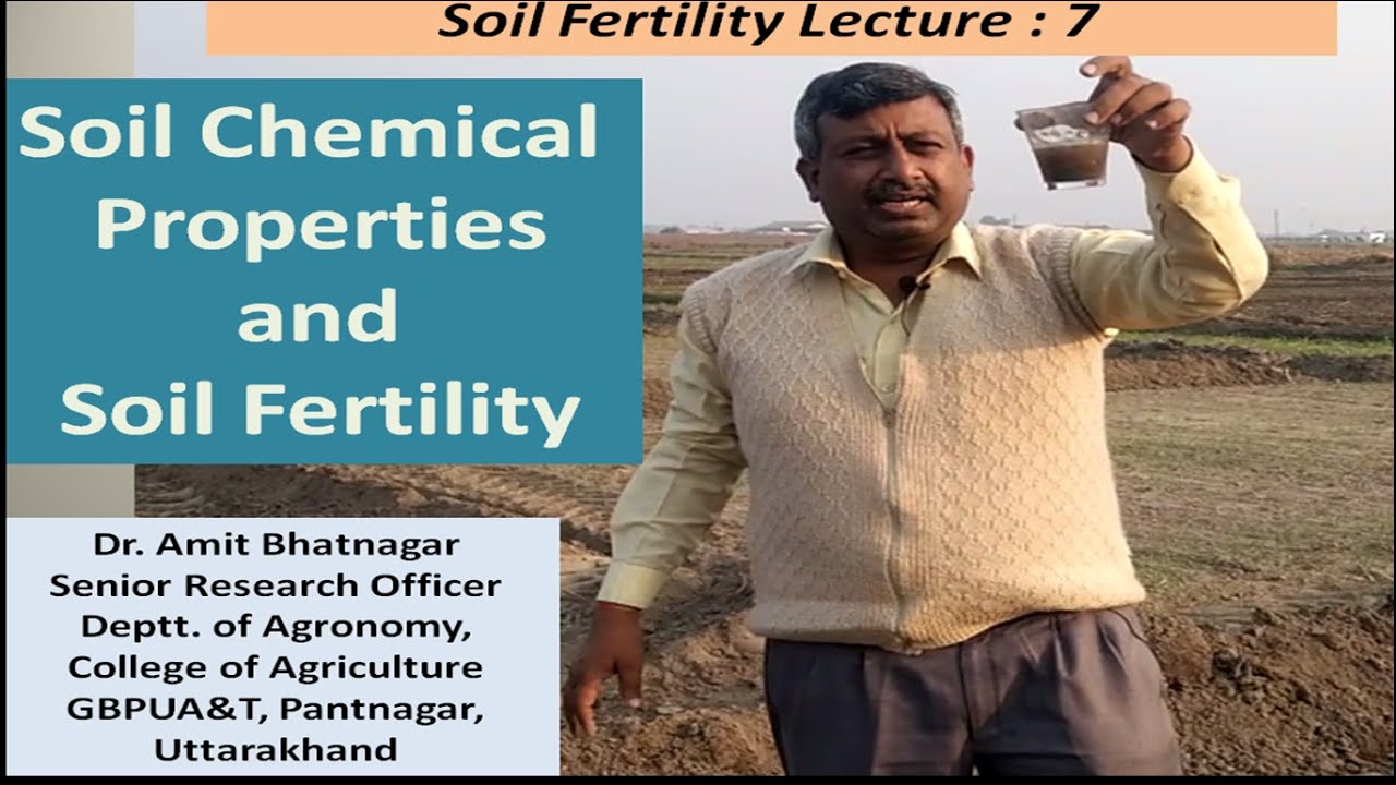 Chemical Properties of Soil and Soil Fertility