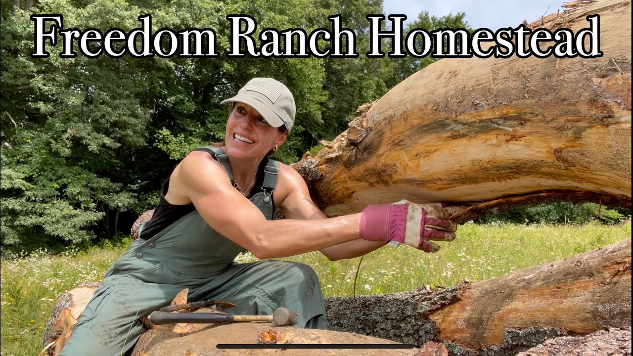 #12  Who Knew PEELING BARK Could Be So Satisfying?!?