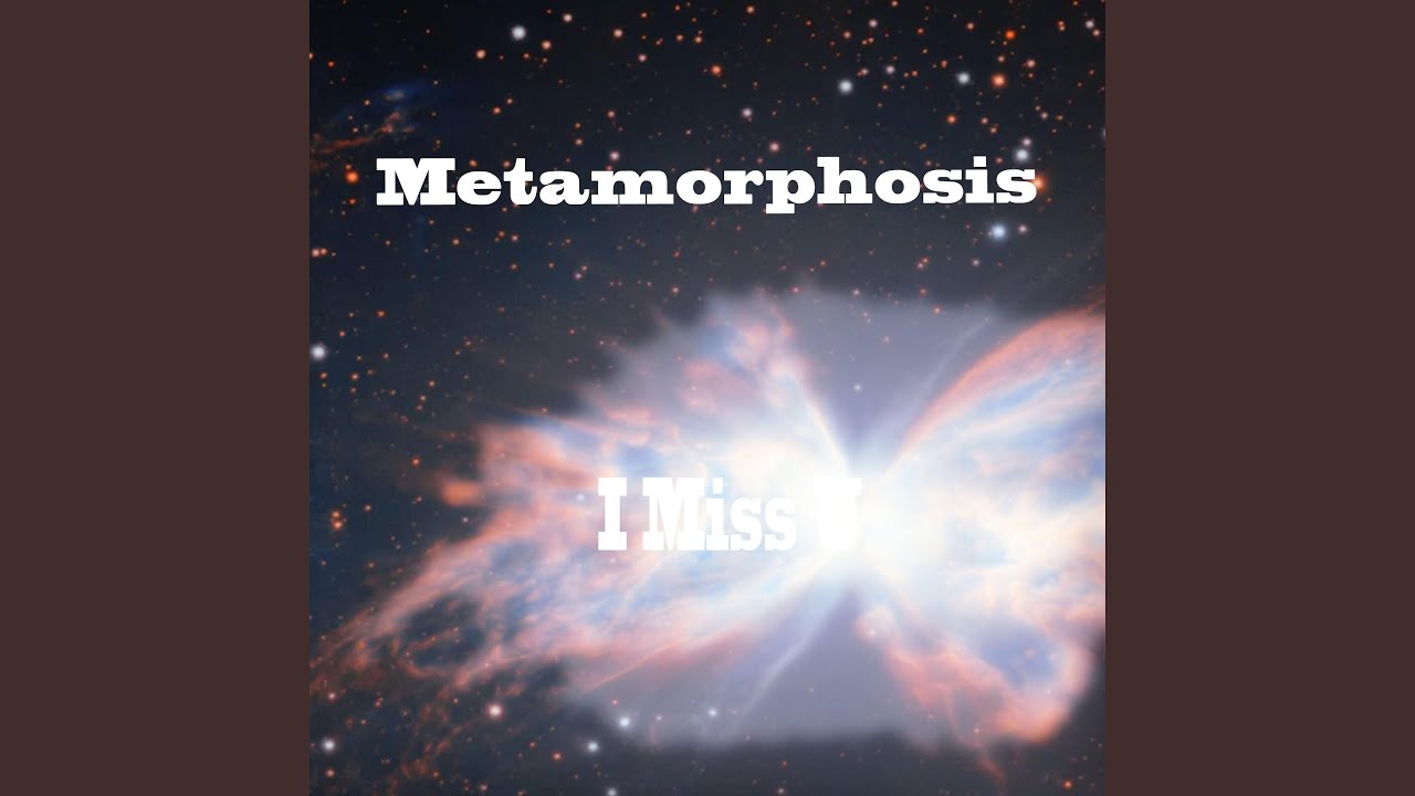 I Miss U (remix)