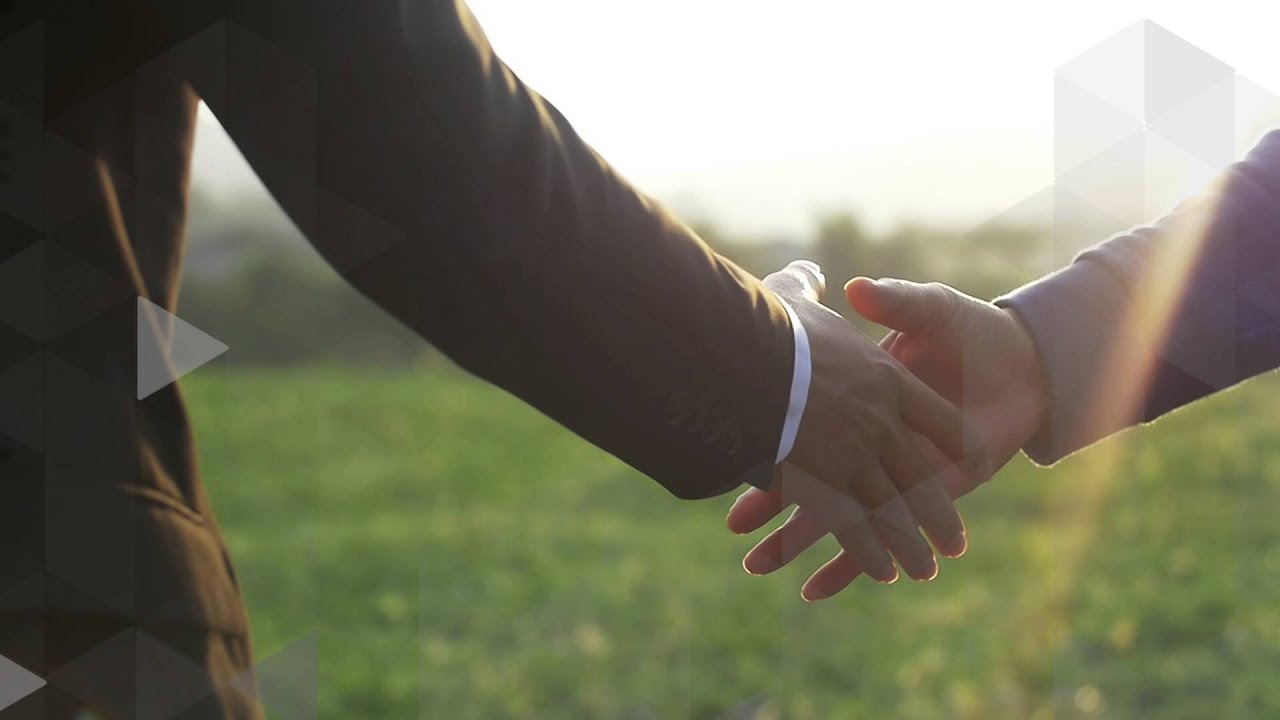 TreeCommerce - h&eacute;t online communicatieplatform voor de boomkwekerijbranche