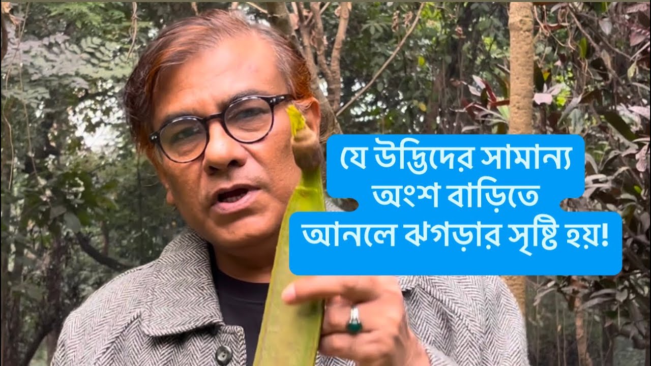 যে উদ্ভিদের সামান্য অংশ বাড়িতে আনলে ঝগড়ার সৃষ্টি হয়...!