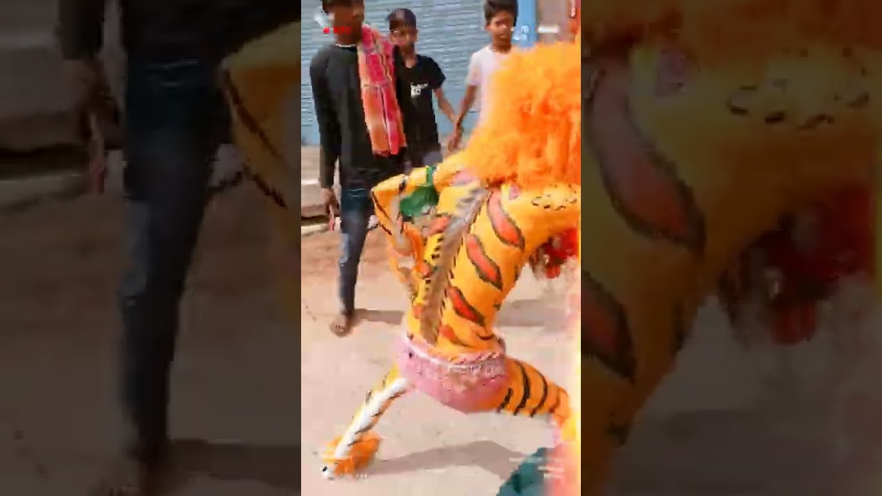5 me ka mohharam tiger bagh 🐯🐯 azad basti