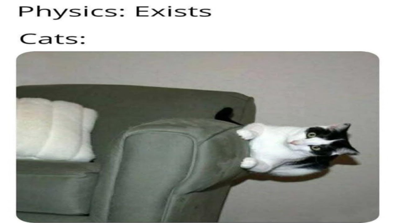 Insane offensive memes but if ylyl 197