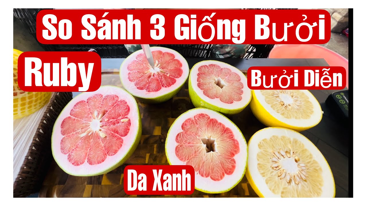 So Sánh 3 Giống Bưởi, Ruby Thái Lan - Da Xanh & Bưởi Diễn || MÂY XANH || Video 246