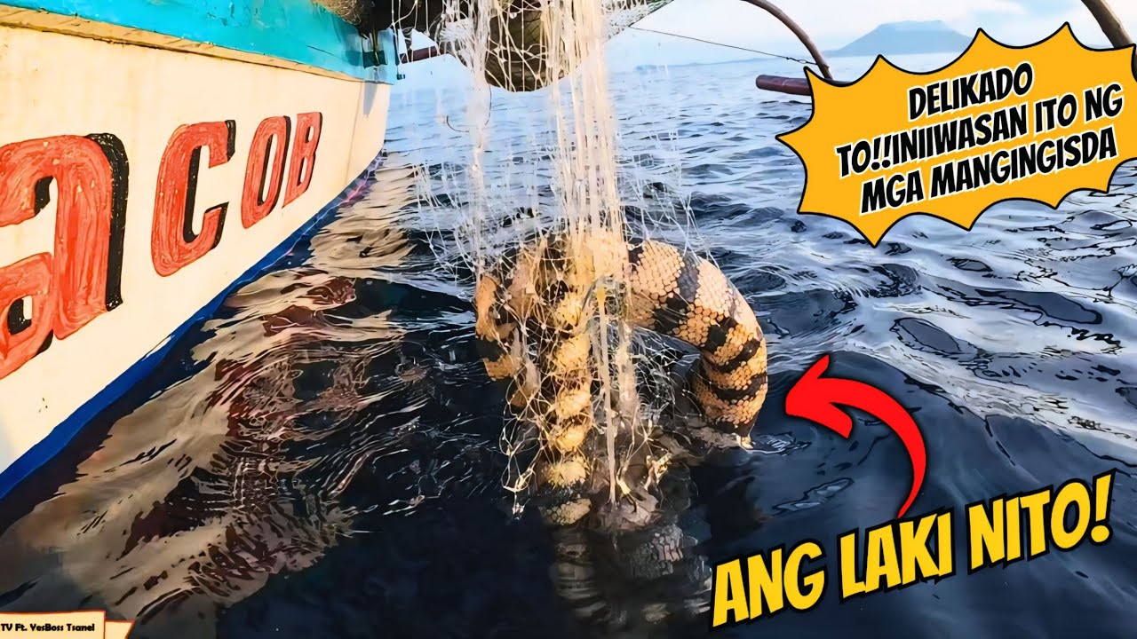 GRABE ANG LAKI | ISA TO SA MGA DELIKADONG HAYOP SA DAGAT NA INIIWASAN NG MGA MANGINGISDA!#fishing