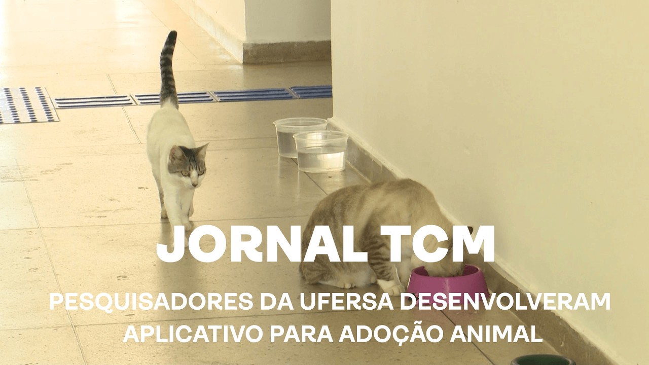 Jornal TCM - Pesquisadores da Ufersa desenvolveram aplicativo para adoção animal