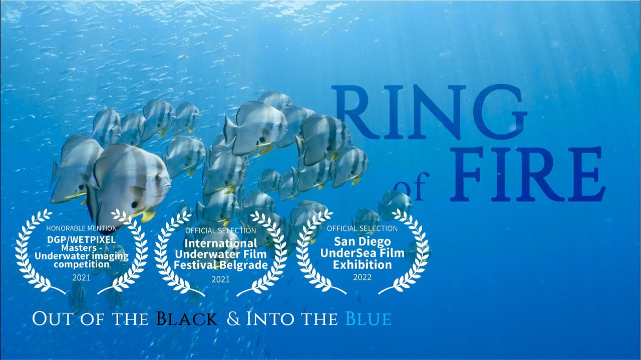 Diving The RING of FIRE, Indonesia. Out of the black & Into the Blue (CHAPTER #15)