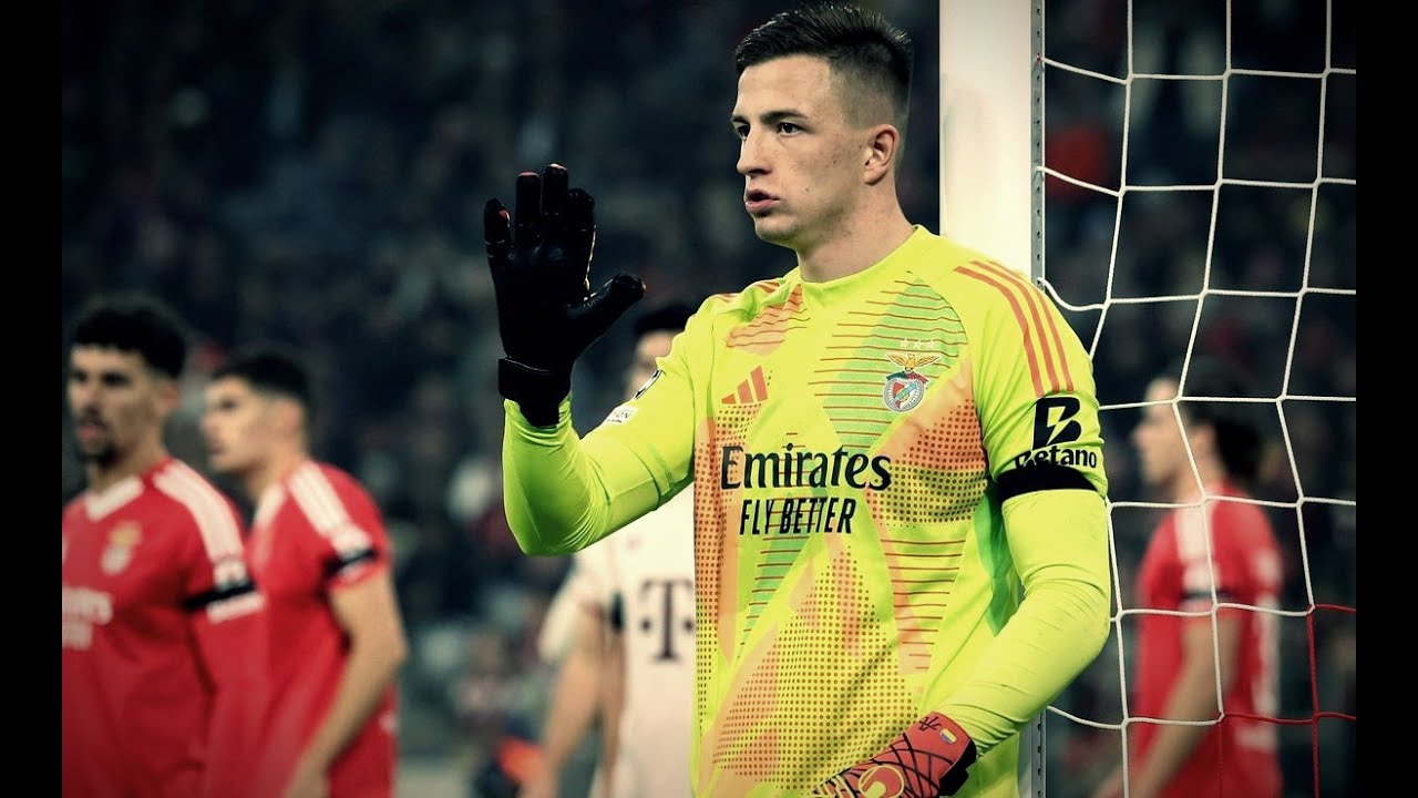 Anatoliy Trubin - 2024/25 Saves | SL Benfica