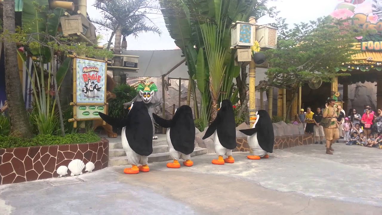Madagascar Boogie Dance Universal Studio Singapore
