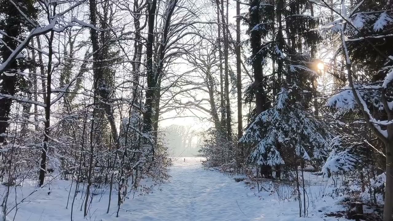 Winter Light Activation | Heart and Soul Music | Sound Healing