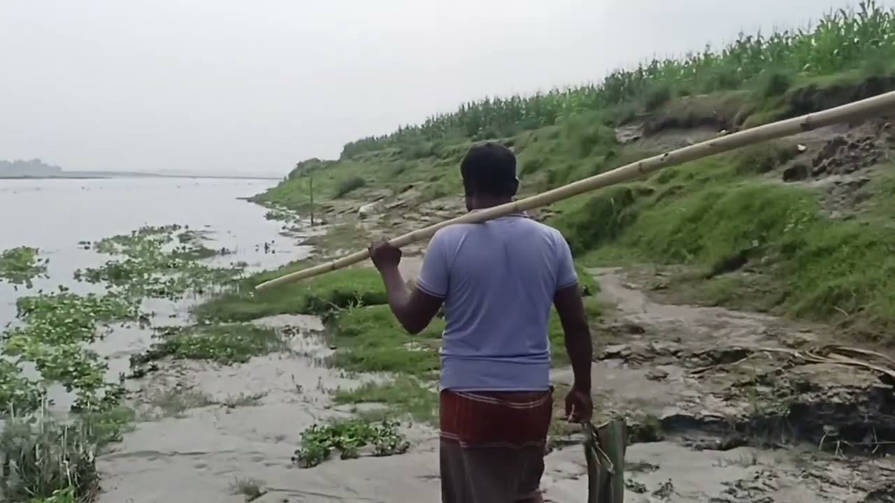 গ্রাম বাংলার দৃশ্য 