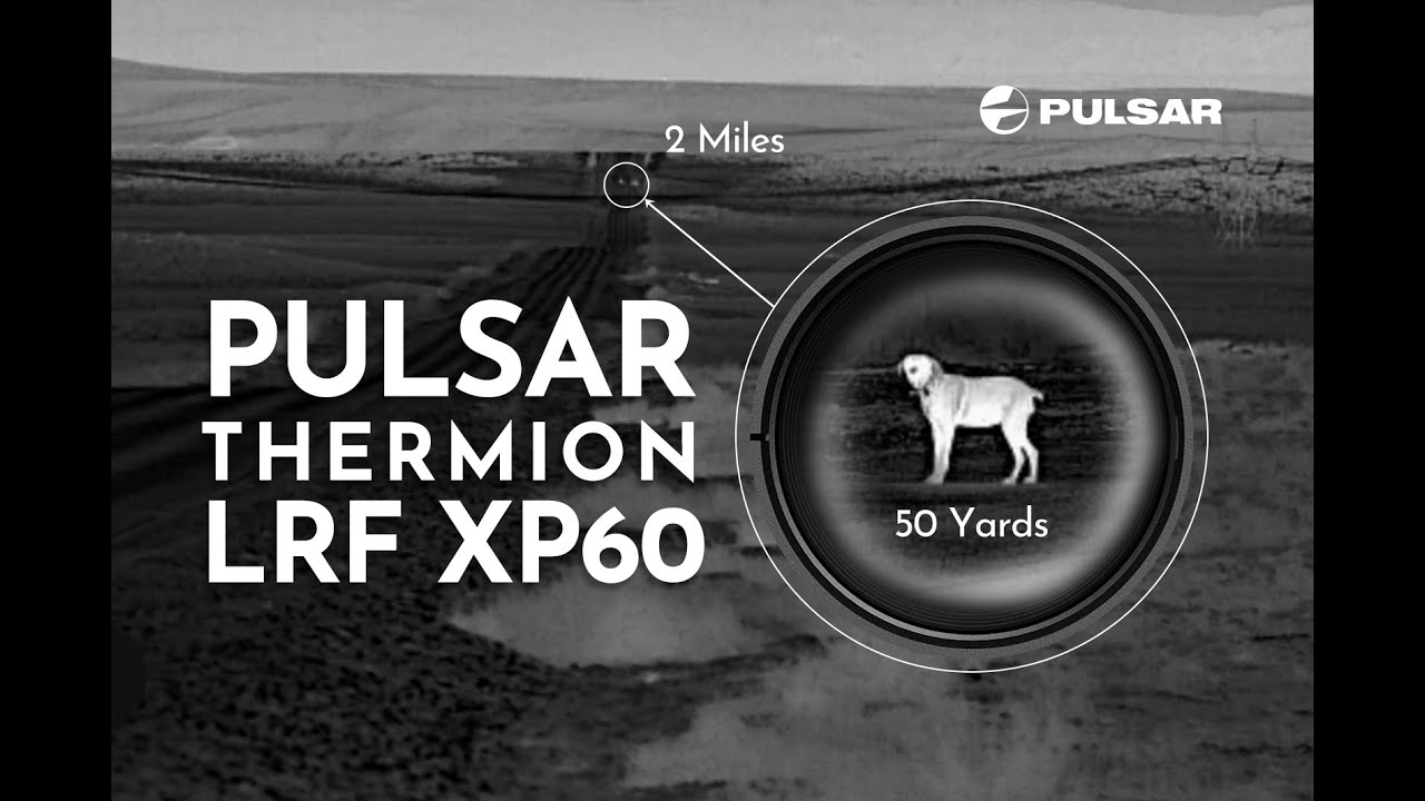 Pulsar Thermion 2 LRF XP60 Pro Image quality from 50 yards to 2 miles