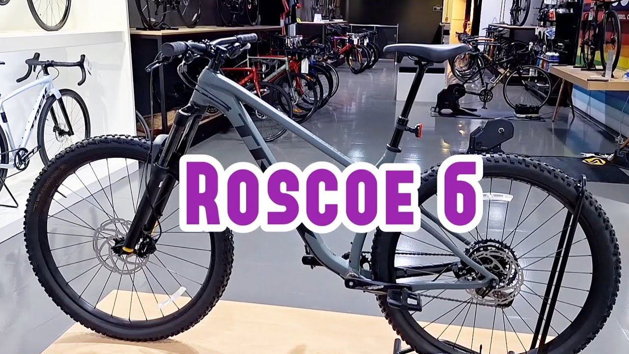 2025 Trek Roscoe 6