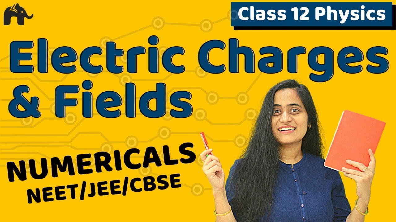 Electric Charges and Fields Class 12 Numericals | CBSE NEET JEE| Electrostatics