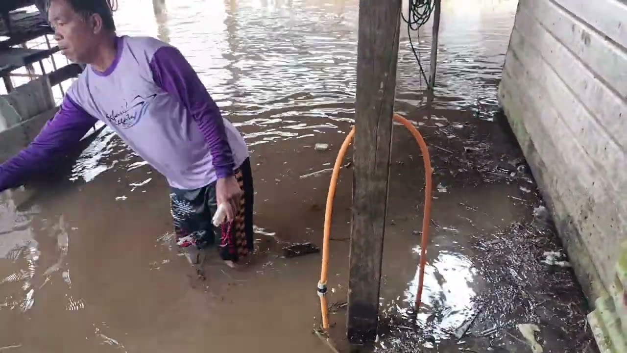 Hari ke4 membersihkan sampah dikawasan rumah semasa banjir 2026