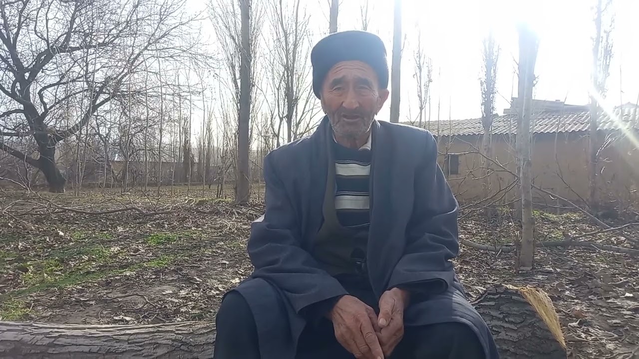 11 января 2026 г.