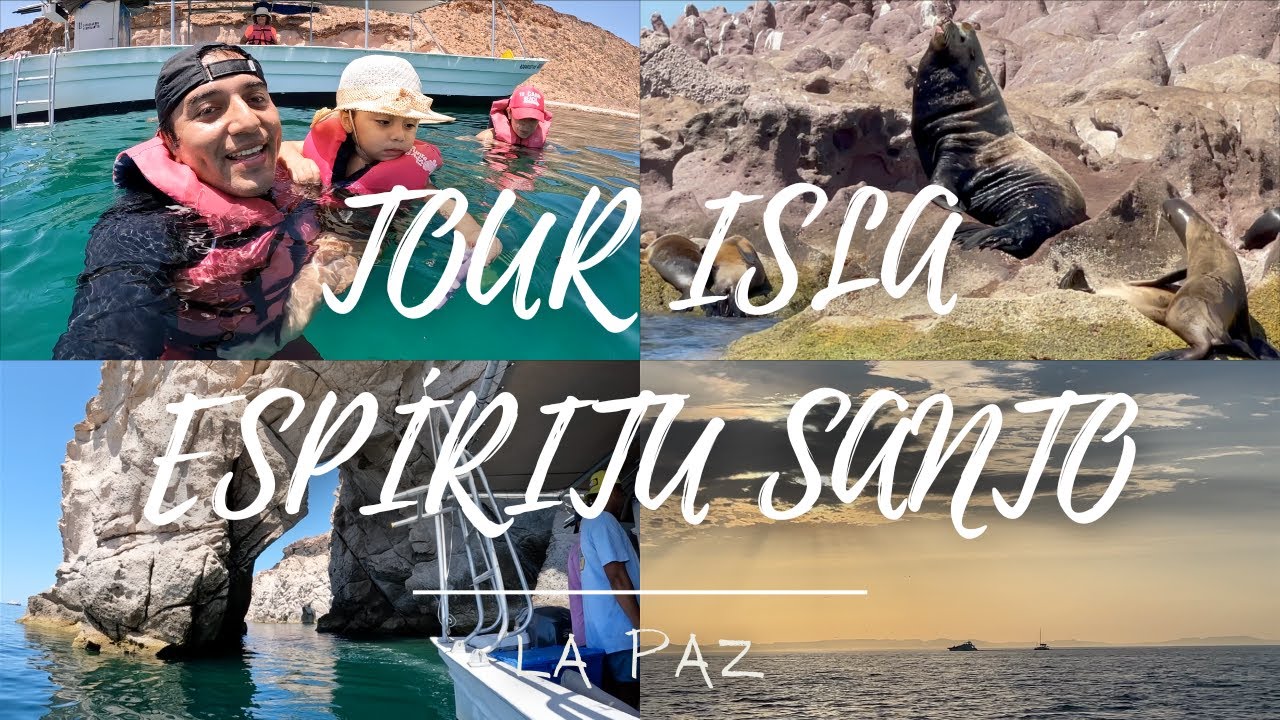 TOUR ISLA ESPÍRITU SANTO | La Paz, Baja California 🦭🏝️