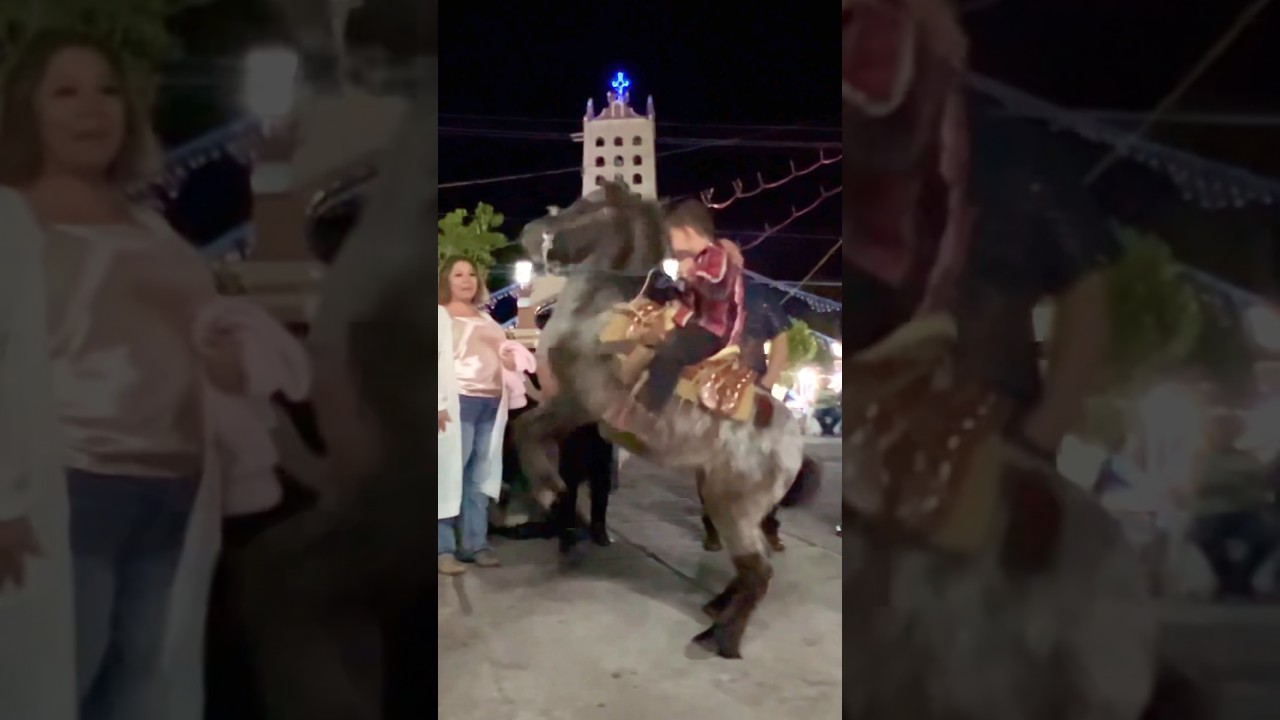 Mini Horse Magic: Kid Shows Off! 🌟🐎