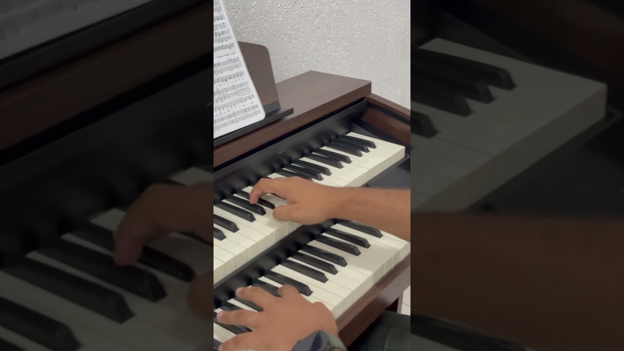 TOKAI MD-5: O &oacute;rg&atilde;o mais vendido do momento!