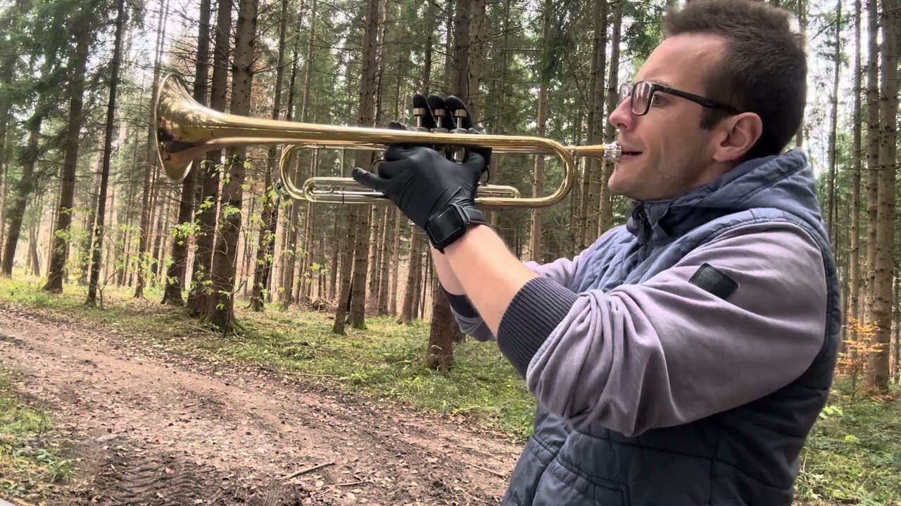 Winterwonderland on Flügelhorn/Trumpet by Matthias Griesbeck