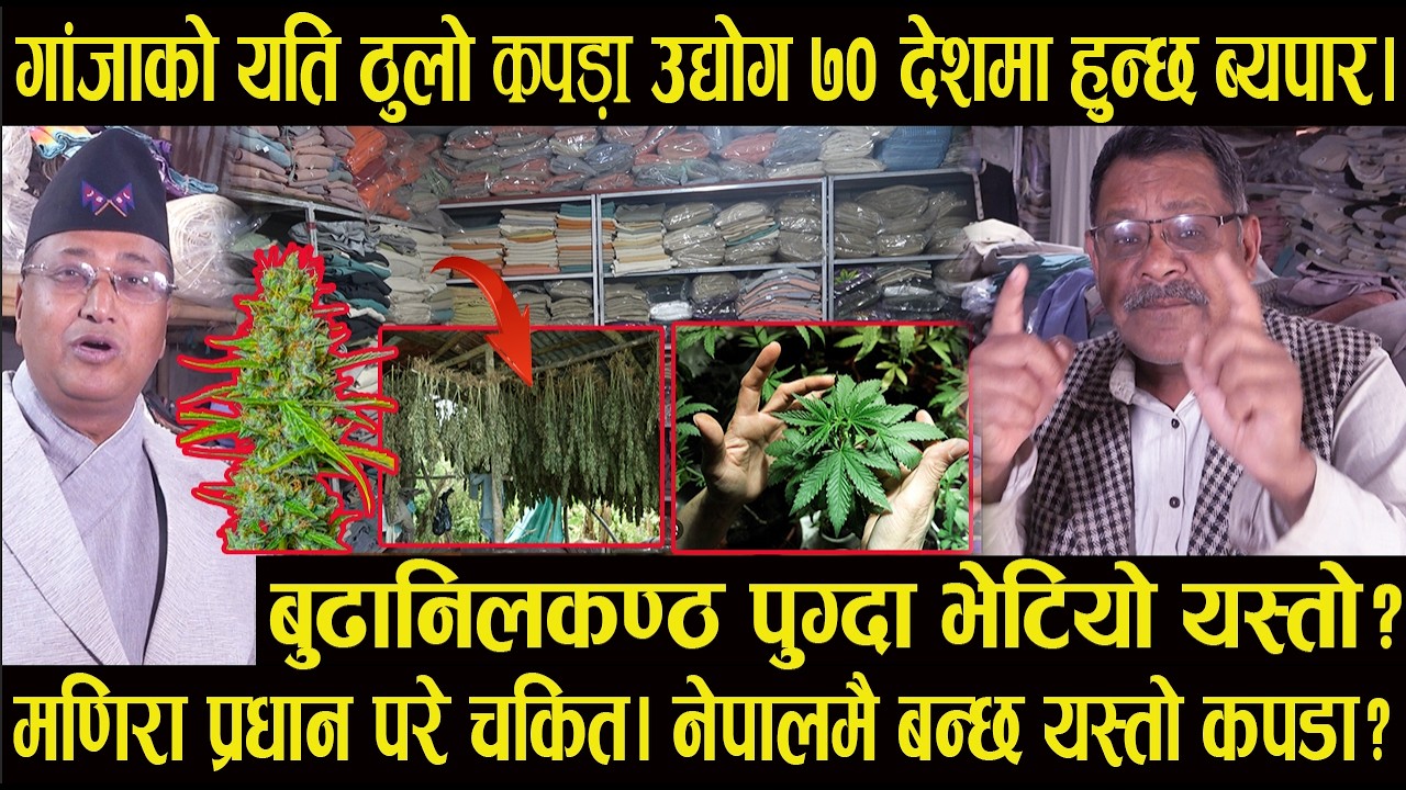 बुढानिलकण्ठ पुग्दा भेटियो यस्तो?गांजाको यति ठुलो कपड़ा उद्योग ७० देशमा हुन्छ ब्यपार#harksampang