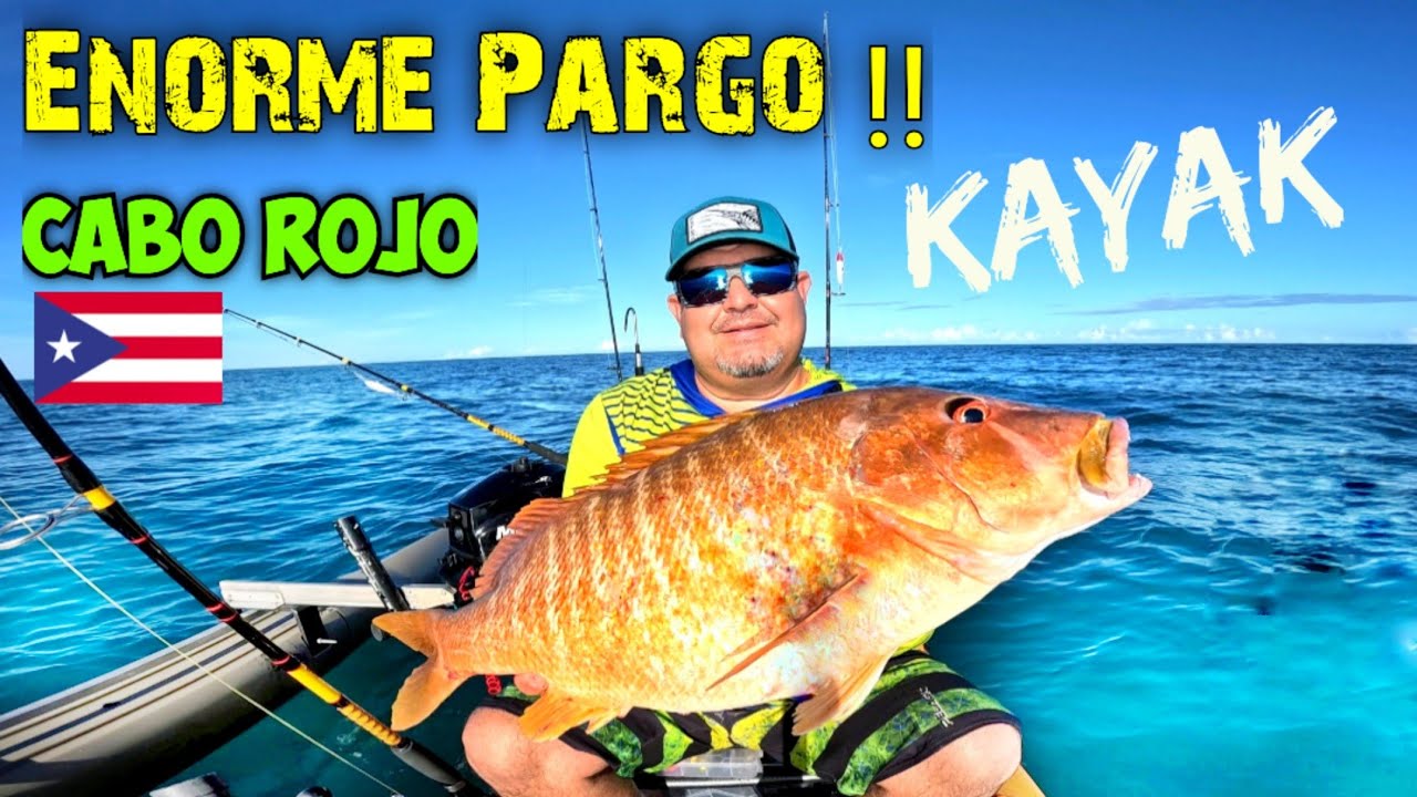 Pargo Gigante en KAYAK !!! Increíble Pesca en Cabo Rojo, Puerto Rico