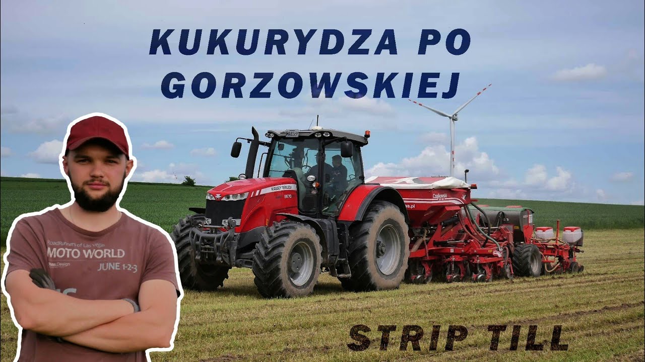 KUKURYDZA PO MIESZANCE GORZOWSKIEJ - STRIP TILL [CZAJKOWSKI]