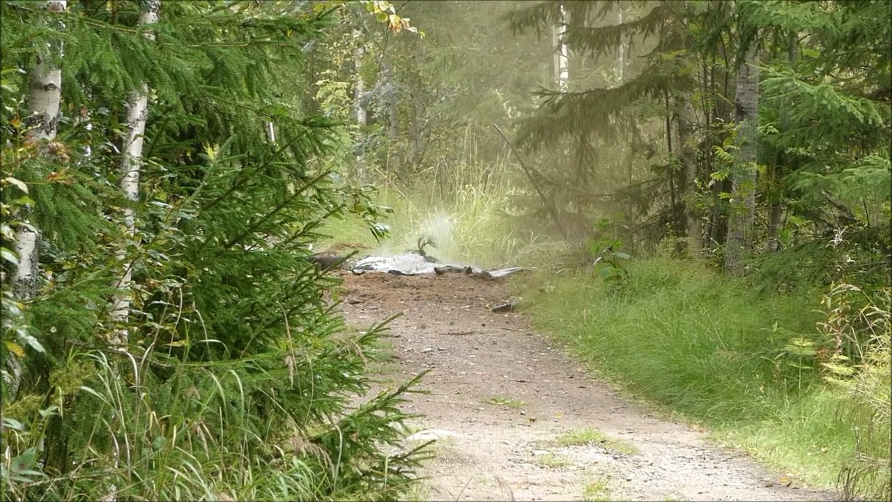 TIEN KUNNOSTUSTA