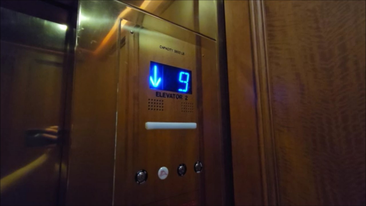 Лифты с тяговым приводом Otis серии M2 (ранее серия 1) - здание Spector/офисы в комплексе Atria -...