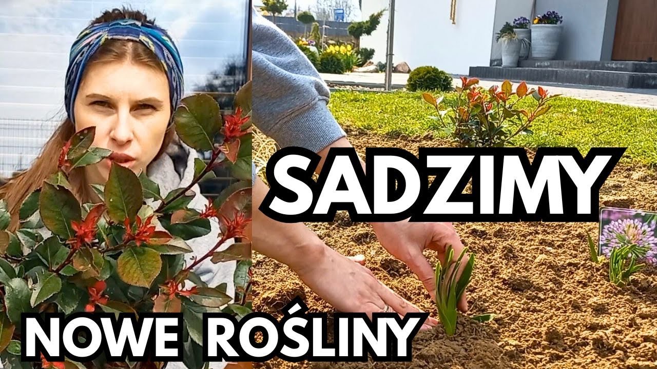 Nowe rośliny na dobry początek sezonu 🌺 Vlog z ogrodu