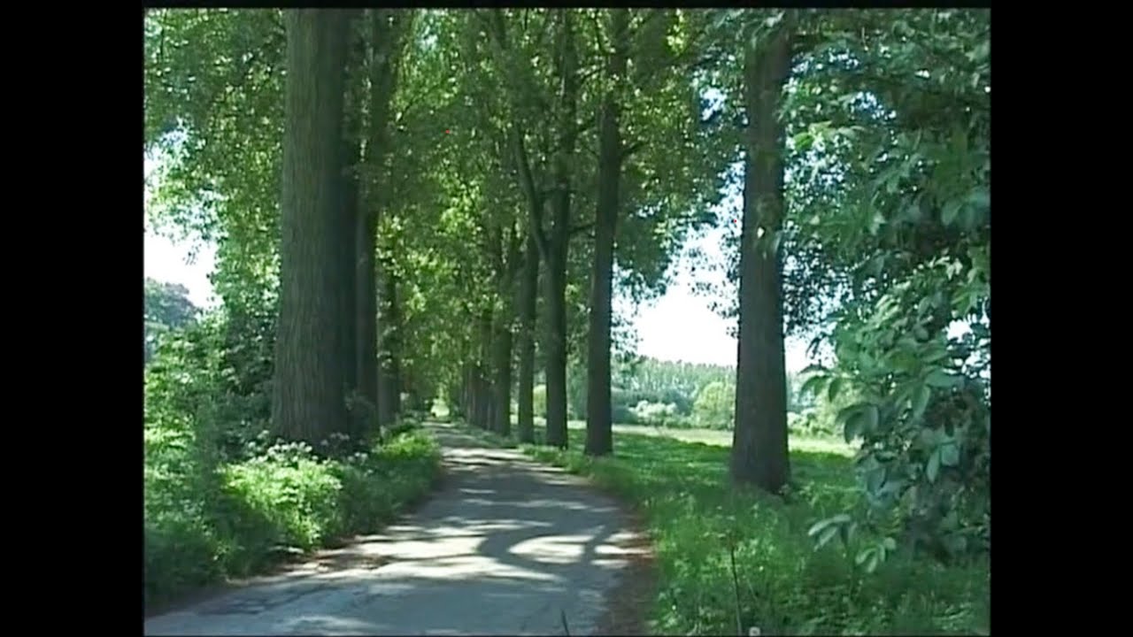 Bislicher Insel