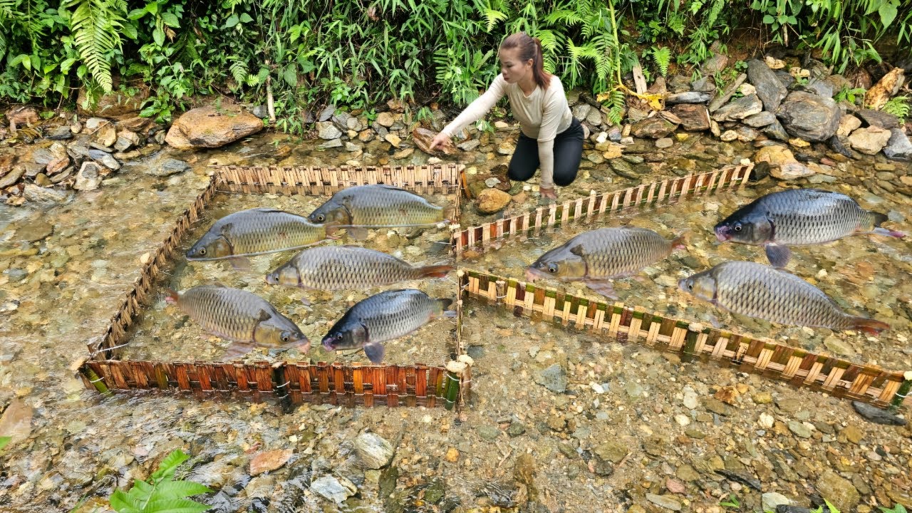 Bamboo fishing technique brings surprising results.