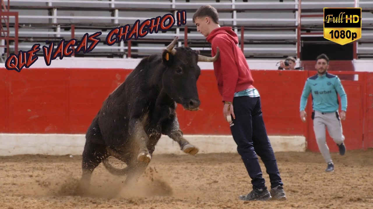 QUÉ VACAS CHACHO!! Tienta privada