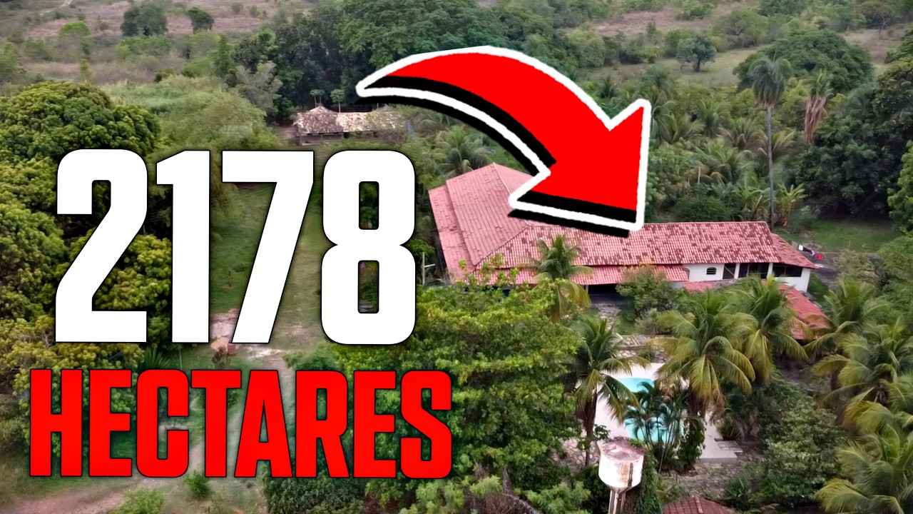 FAZENDA À VENDA!!! - 416 Alqueires no Tocantins #fazendaavenda