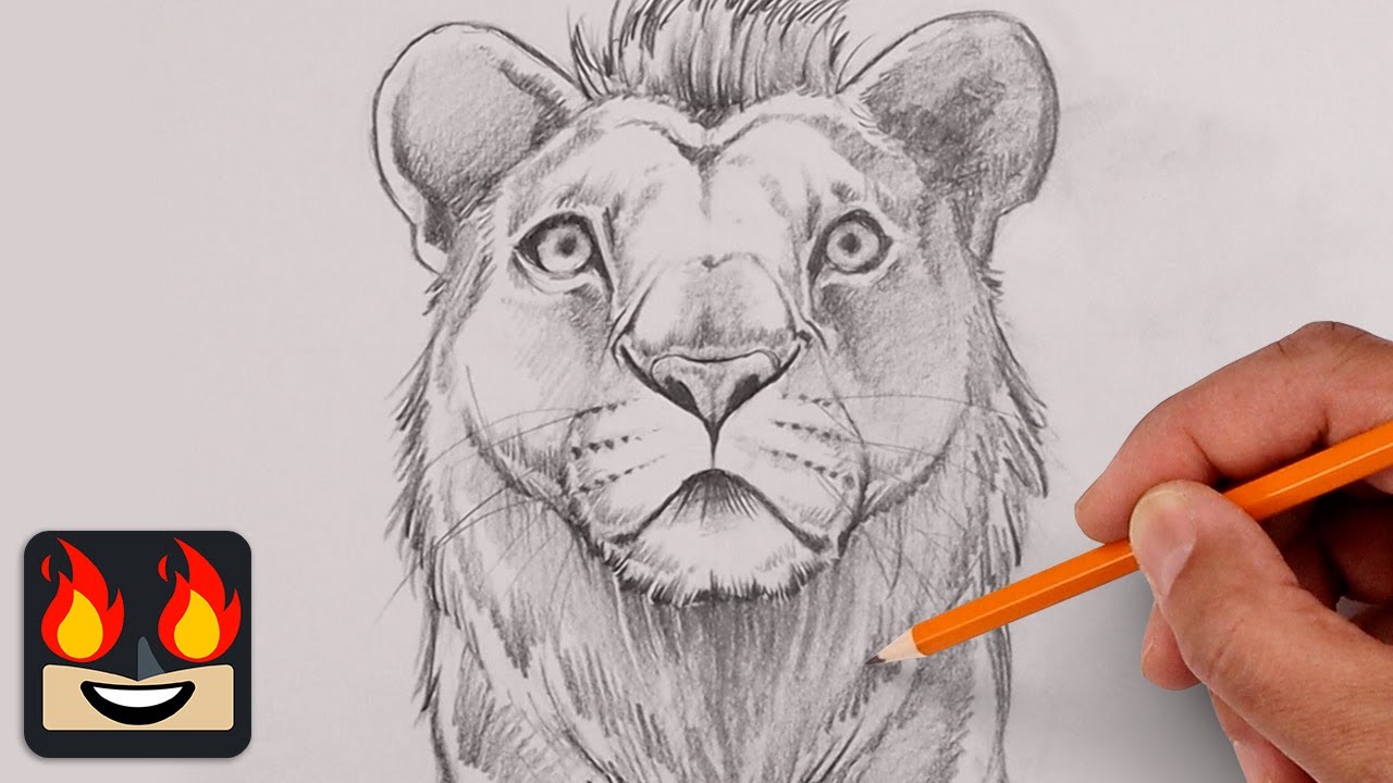 How To Draw Mufasa | The Lion King