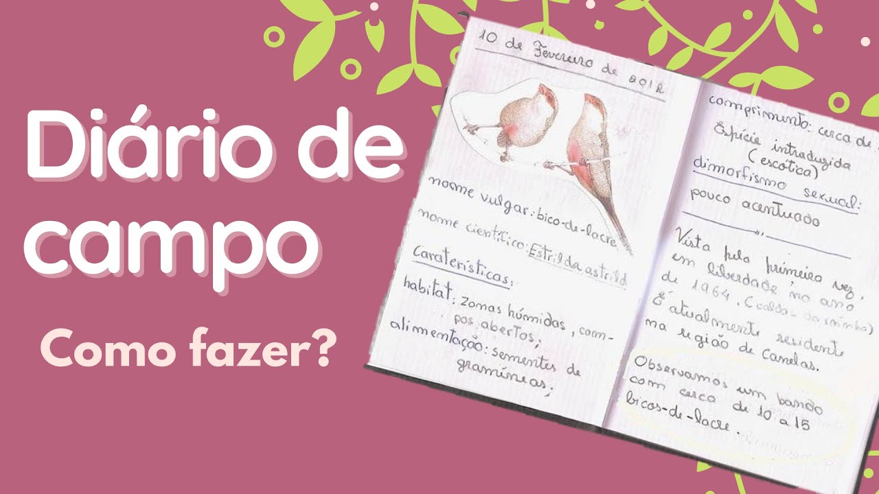 Diário de campo - Como fazer?