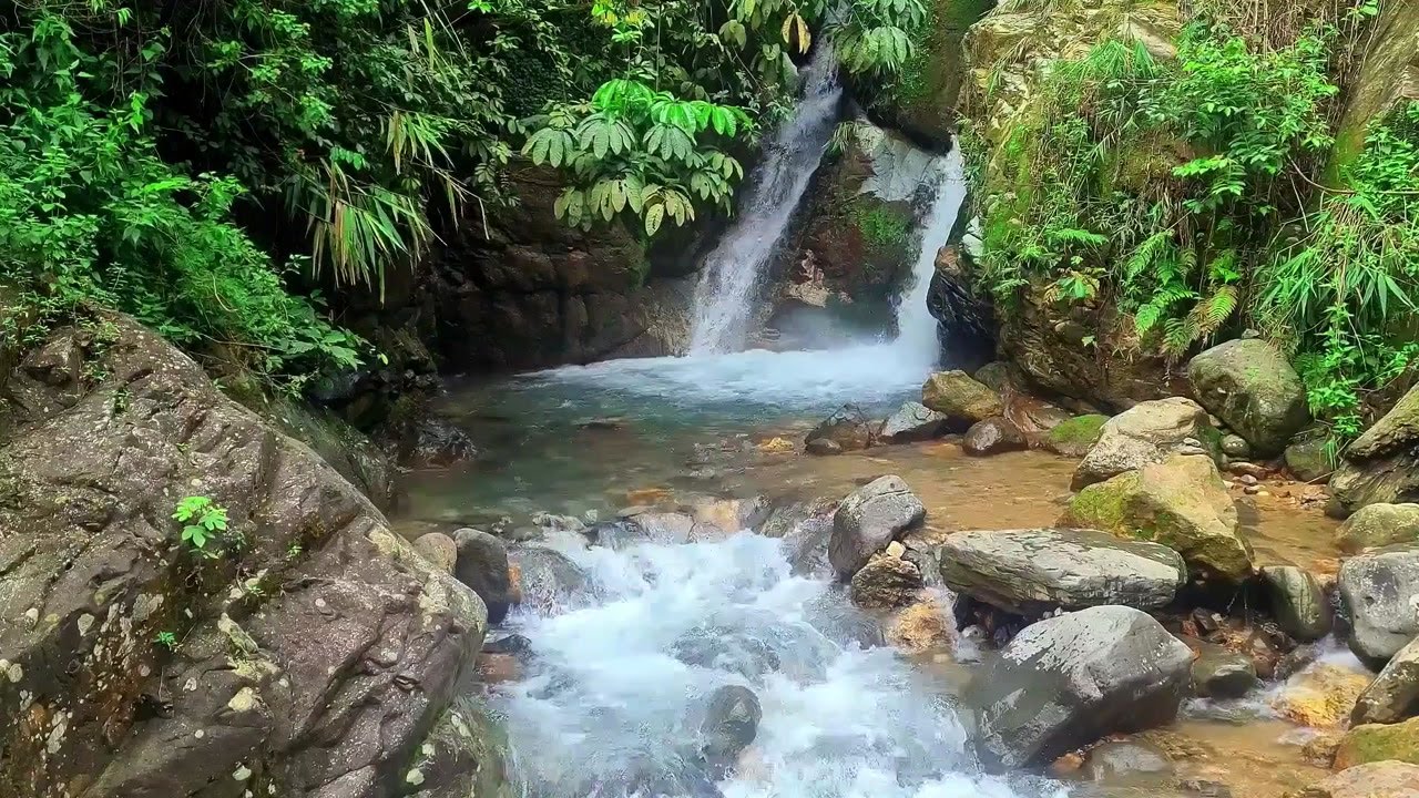 Quiet Forest River Flow | Relaxing Nature Sounds for Sleep and Stress Relief