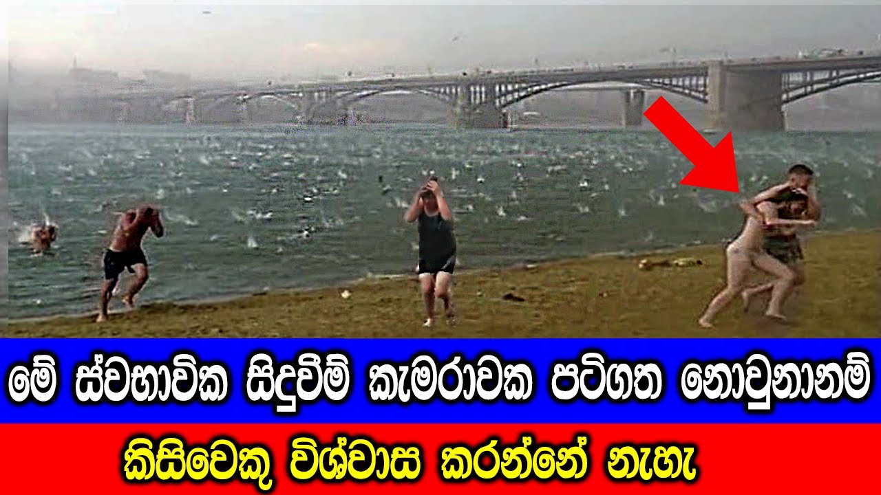 මෙම ස්වභාවික සිදුවීම් කැමරාවක් පටිගත නොවුනානම් කිසිවෙකු විශ්වාස කරන්නේ නැහැ.