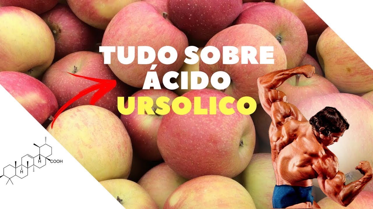 TUDO sobre ácido ursolico  MAIS MÚSCULO E MENOS GORDURA