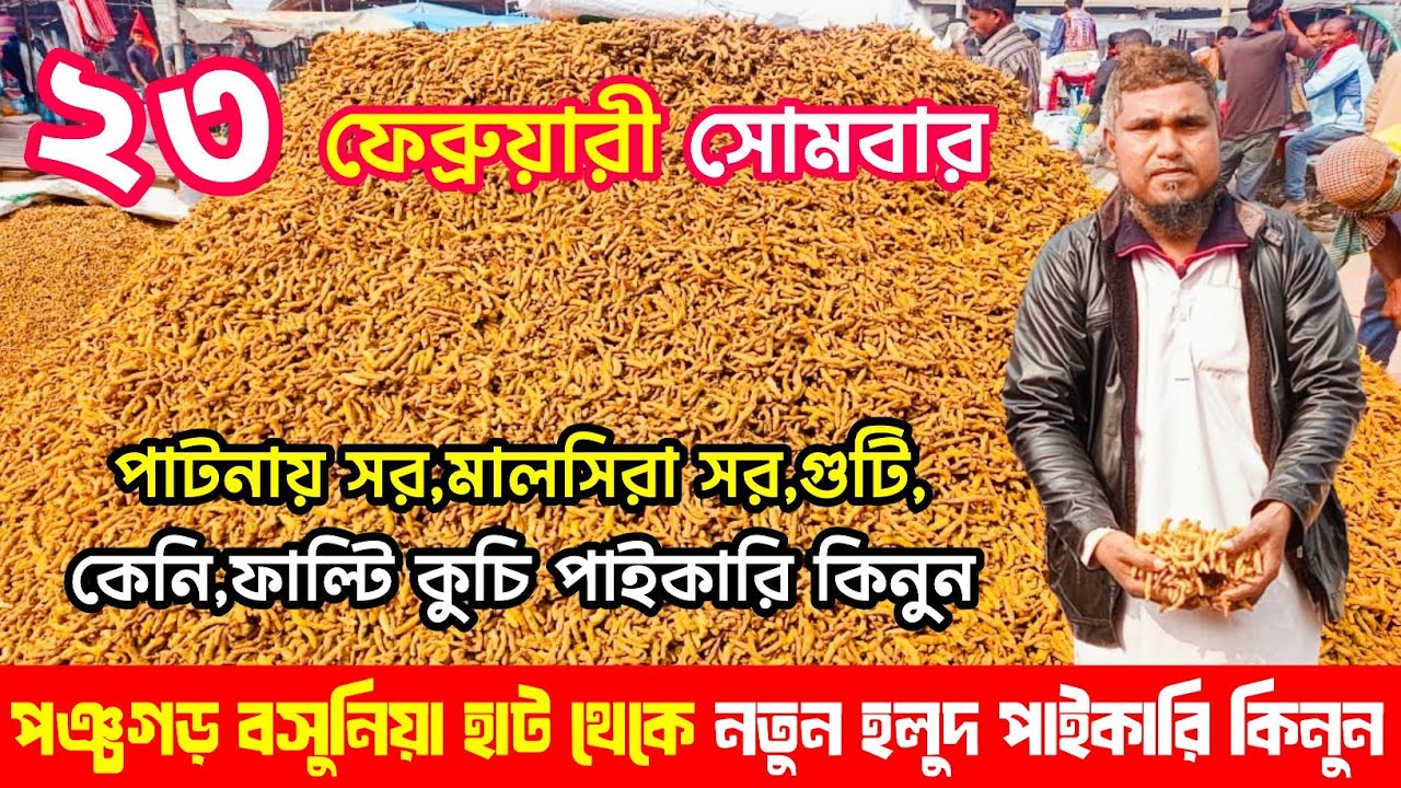 পঞ্চগড় বসুনিয়া হাটে আজকে হলুদের দাম কত | শুকনা হলুদের পাইকারি বাজার |