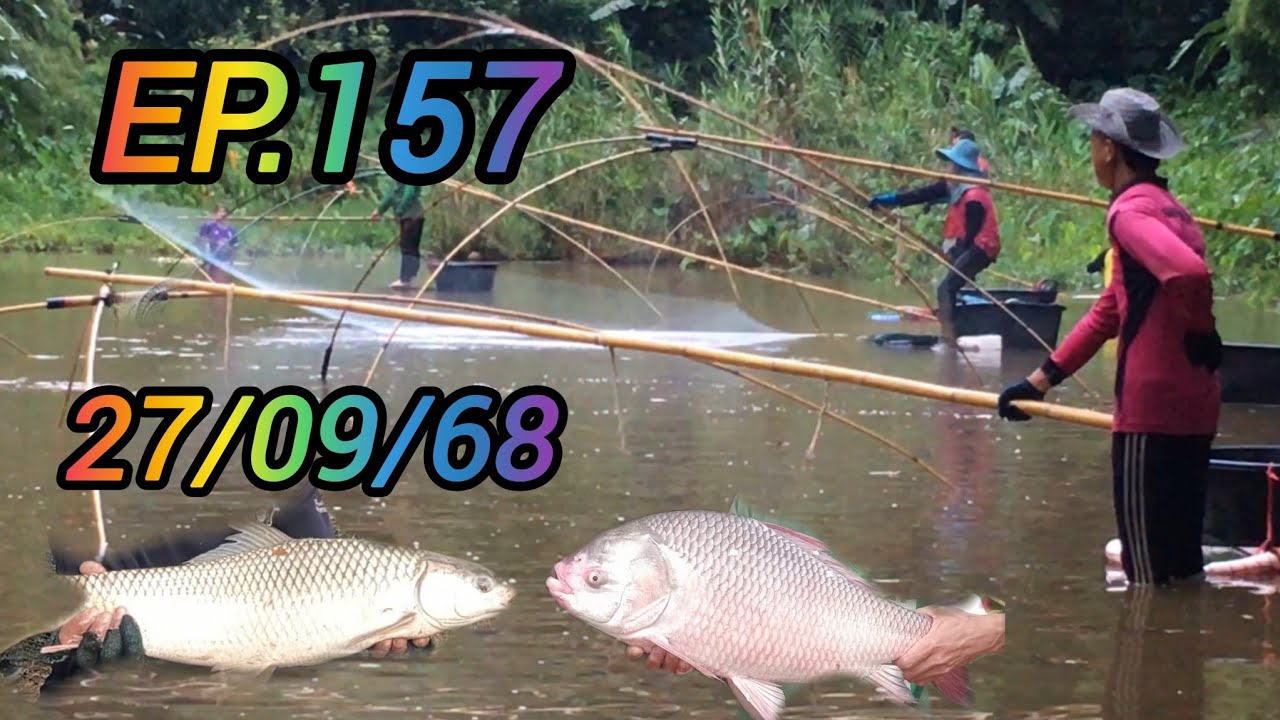 ยกยอหาปลา บัตร 1000 บาท บ้านศิริราช ต.แม่ยาว อ.เมือง จ.เชียงราย