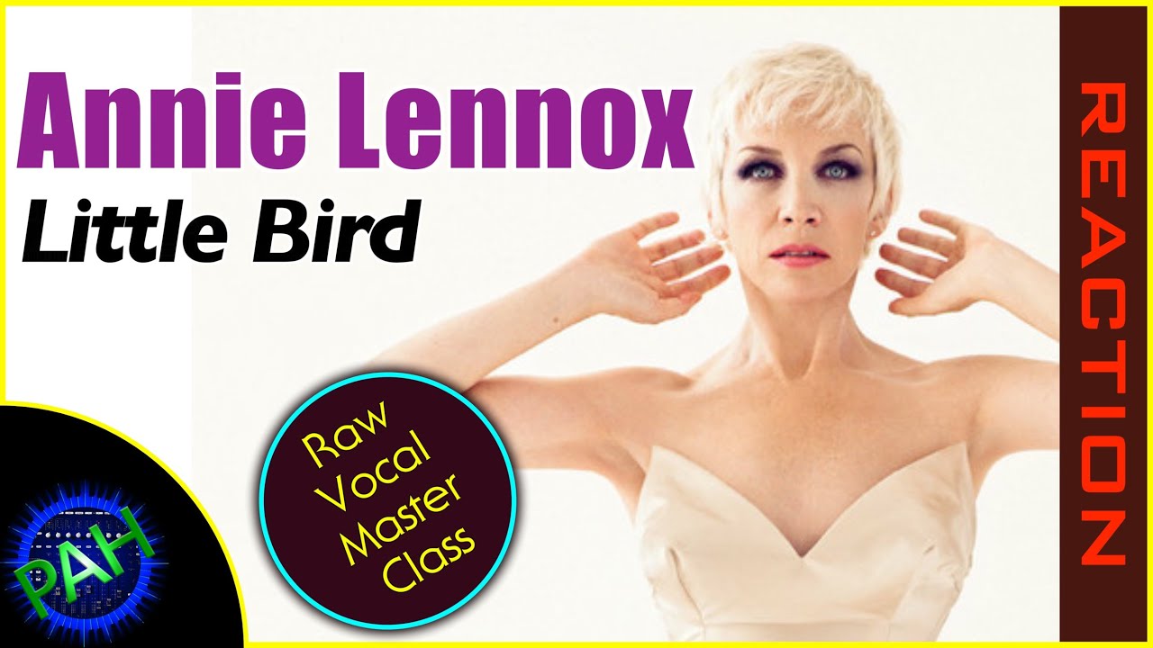 A Raw Vocal Masterclass - Annie Lennox - Little Bird - Musician's REACTION #annielennox #reaction