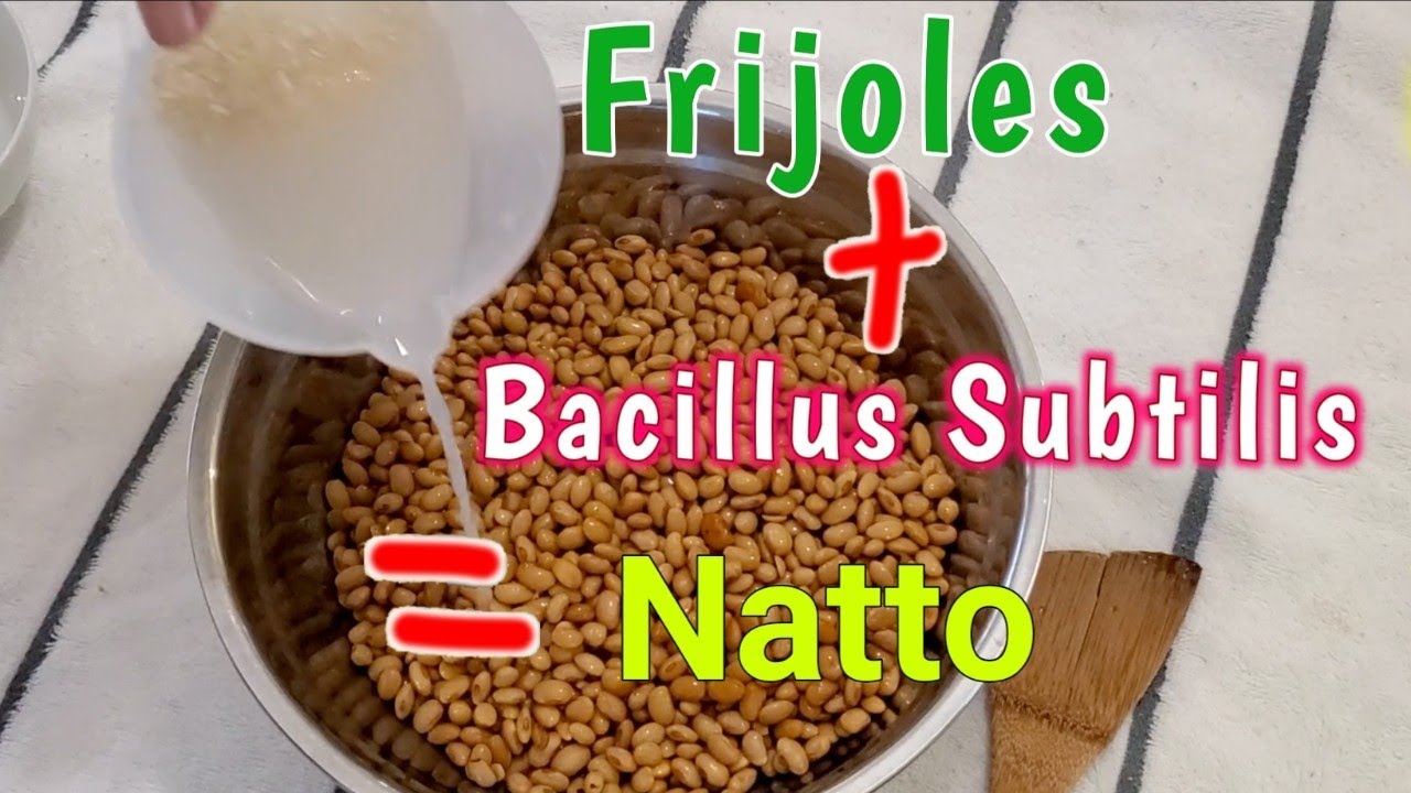 Cómo hacer un super alimento 