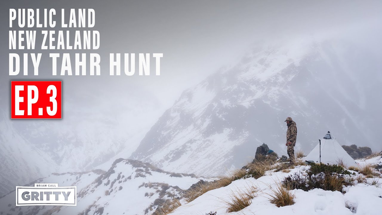 TWO BULLS! CLIFFED OUT | PUBLIC LAND | NEW ZEALAND