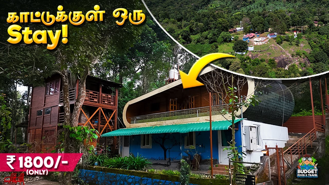 KODAIKANAL KU பதில் இங்க போகலாம் !🤫|BUDGET TREEHOUSE STAY IN THANDIKUDI| hidden spot near kodaikanal